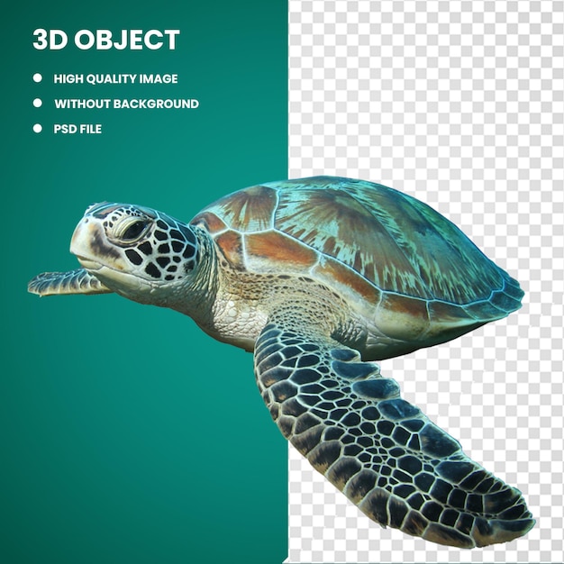 3d 녹색 바다 거북이 그림