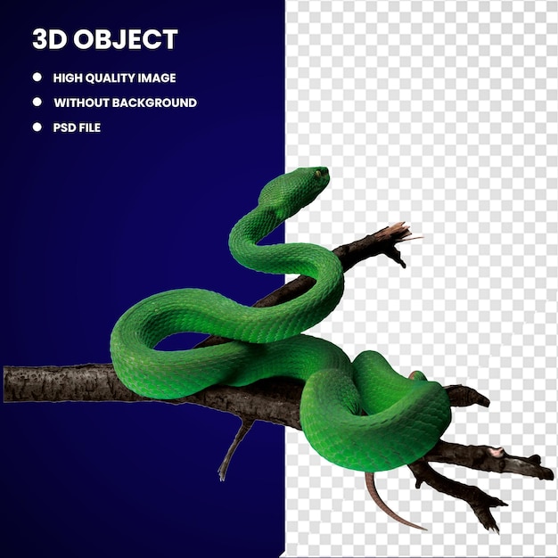 3d green viper snake