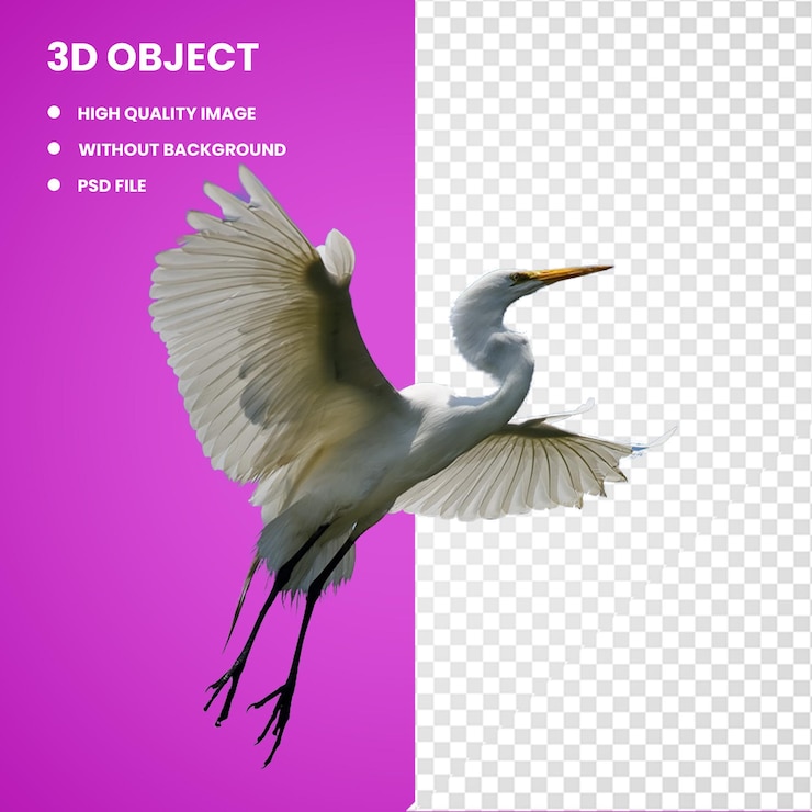 PSD 3d grey parrot bird budgerigar