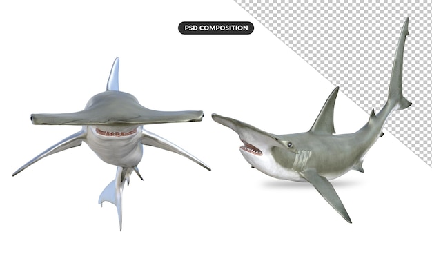 PSD 3d hammerhead shark