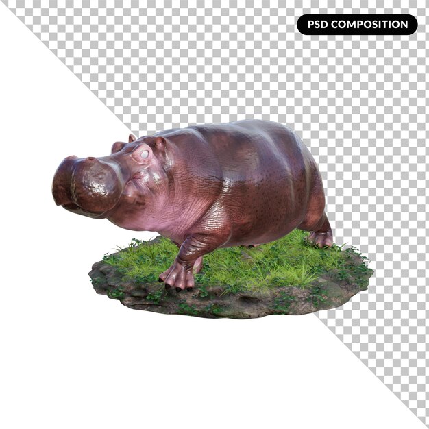 3d hippopotamus isolated