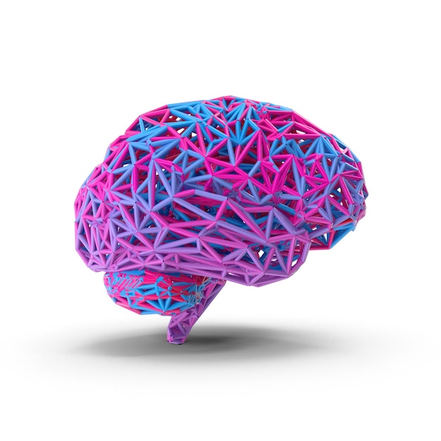 3D Human Brain with Realistic Details HighQuality Medical Brain Model Neuroscience and Anatomy
