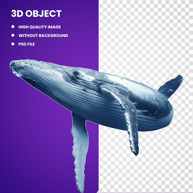 PSD 3d balena a gobba balena blu delfino comune delfino naso di bottiglia