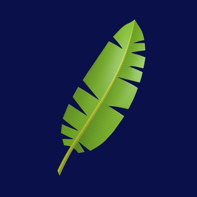 PSD 잎 브라질 카니발에 대 한 3d 아이콘
