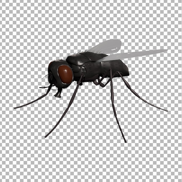 3D-icoon van een insect