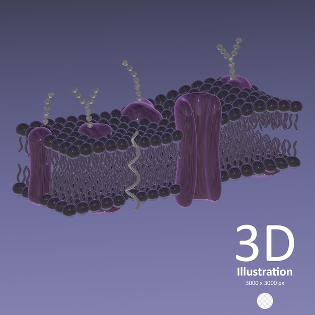 PSD 3d ikona ilustracja błony cytoplazmatycznej