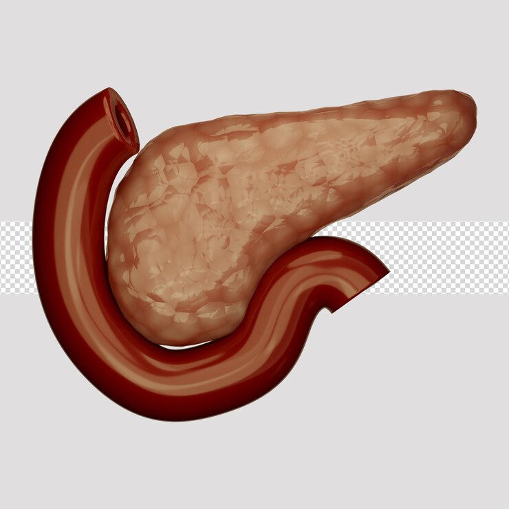 PSD 3d ikona trzustka