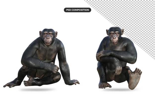 PSD 3d illustration of a chimpanzee