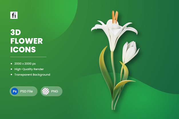 3d illustration flower lily