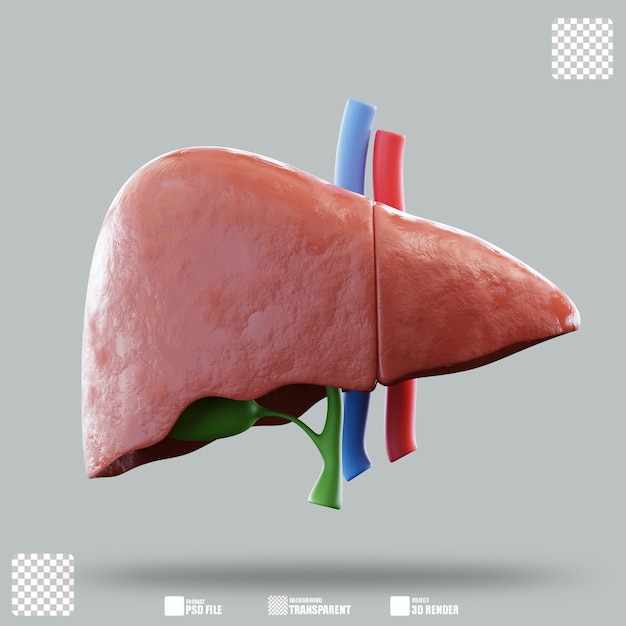 3D 일러스트레이션 간