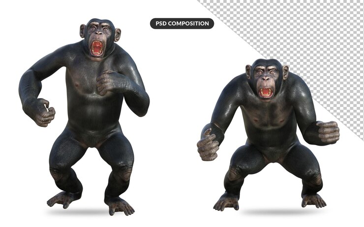 PSD 3d ilustracja szympansa
