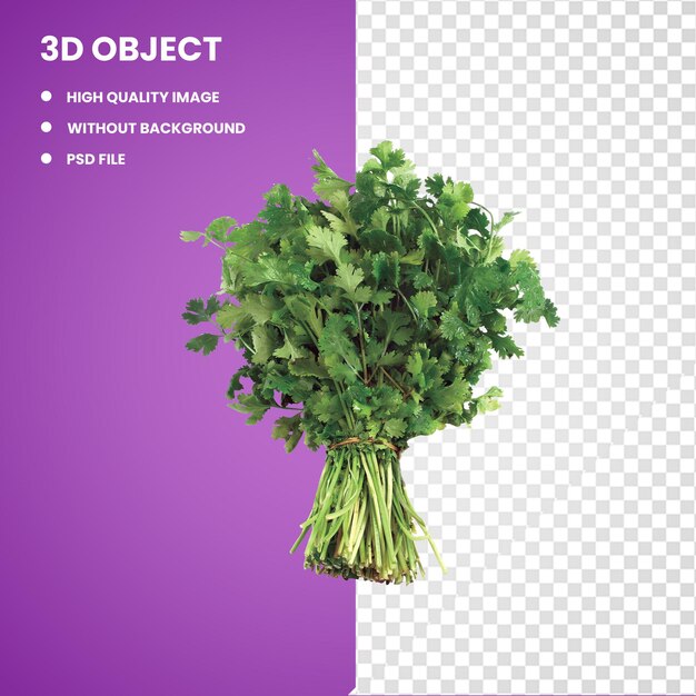 PSD 3d ilustracja zielonej kolendry warzywo liściane desktop