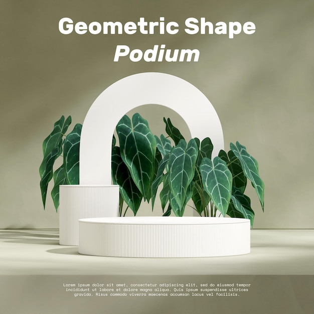 3d image render empty mockup white cylinder podium in square green anthurium plant and wall