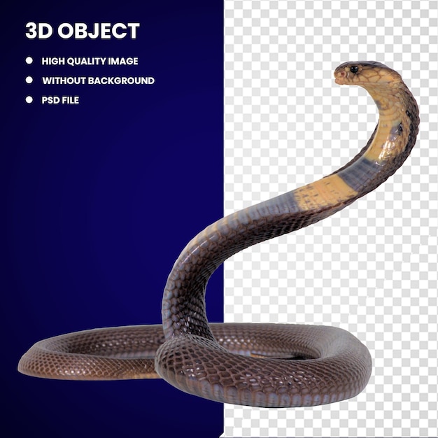 PSD 3d королевская кобра змея