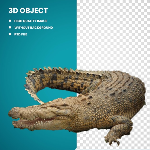 3d krokodil