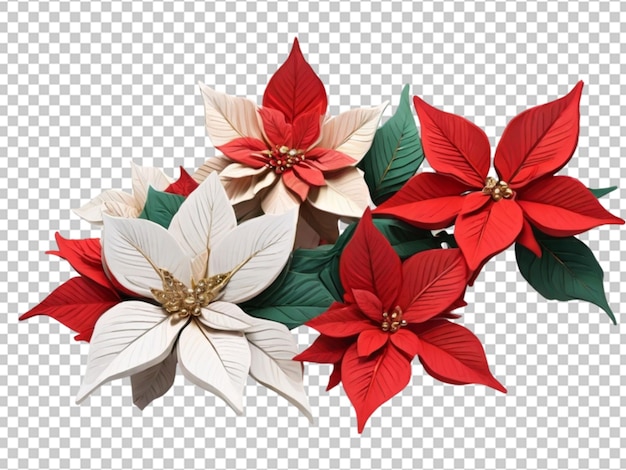 PSD 3d kwiat poinsettia xmas na przezroczystym obiekcie