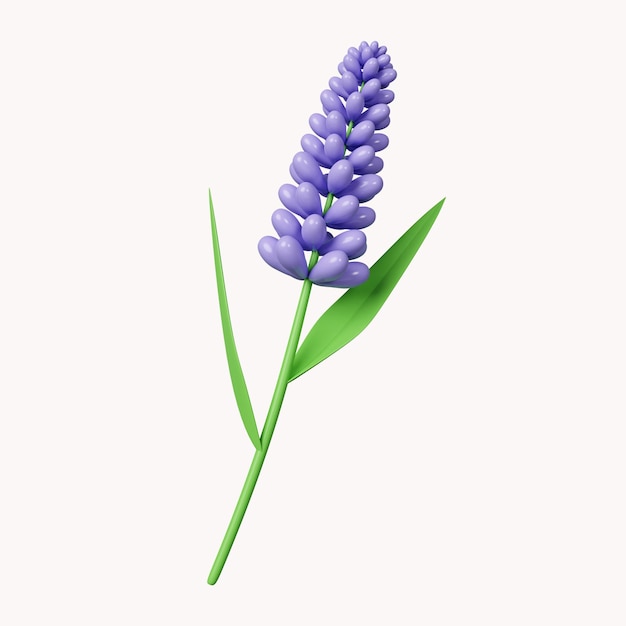 PSD icona di fiori di lavanda 3d isolata su sfondo bianco illustrazione del rendering 3d percorso di ritaglio