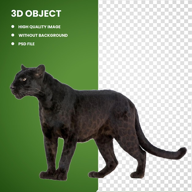 3d leopard wildcat black panther felidae
