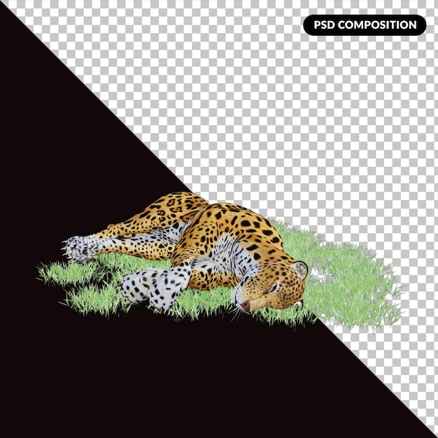 3d leophard illustration wild animal
