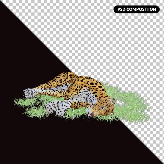 PSD 3d leophard illustration wild animal