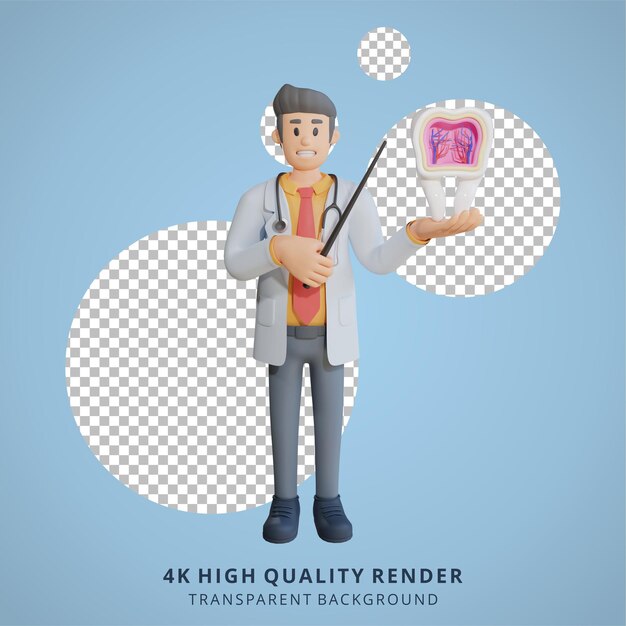 3d male doctor explaining the inside of the teeth character illustration