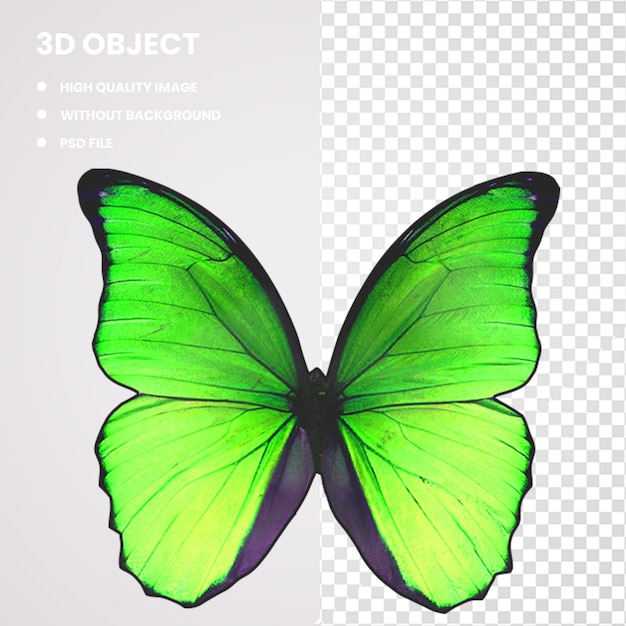 PSD farfalla verde e nera 3d mariposas