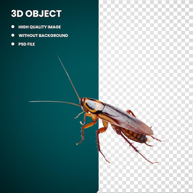 PSD 3d модель массачусетский таракан, насекомое, крыса, борьба с вредителями