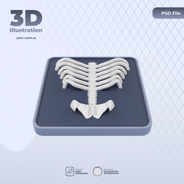 3d medical xray icon illustration