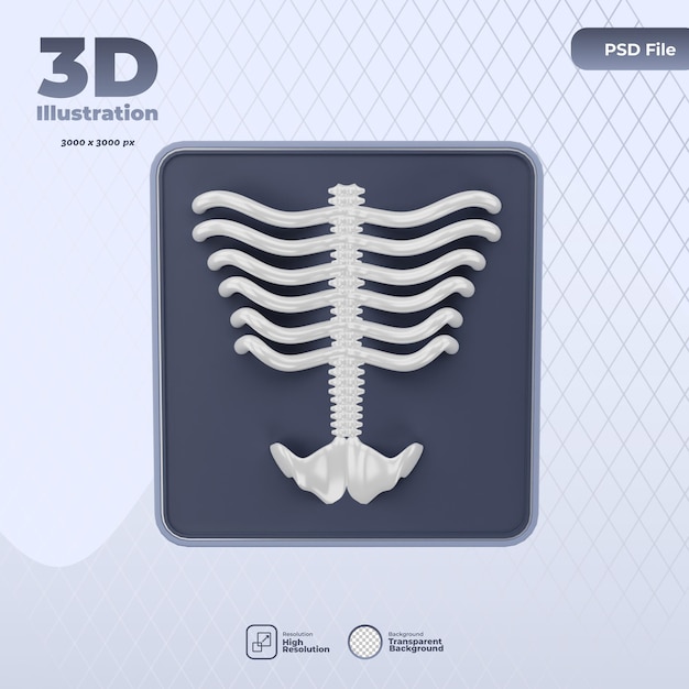 3d medical xray icon illustration