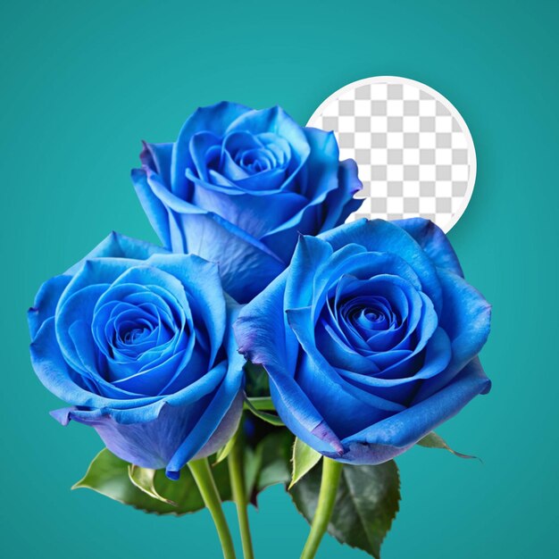 PSD 3d metallic rose on transparent background
