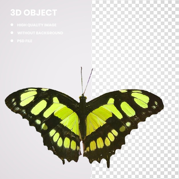 PSD 3d motyl monarch pieridae scape motyle brushfooted