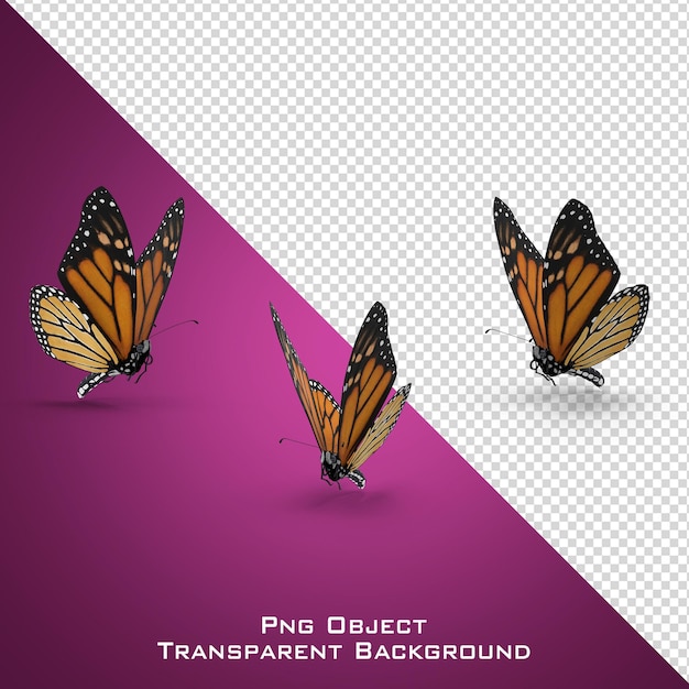 PSD 3d motyl monarcha na białym tle