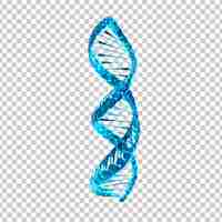 PSD 3d niebieski element sekwencji helisy dna wyizolowany na przezroczystym tle