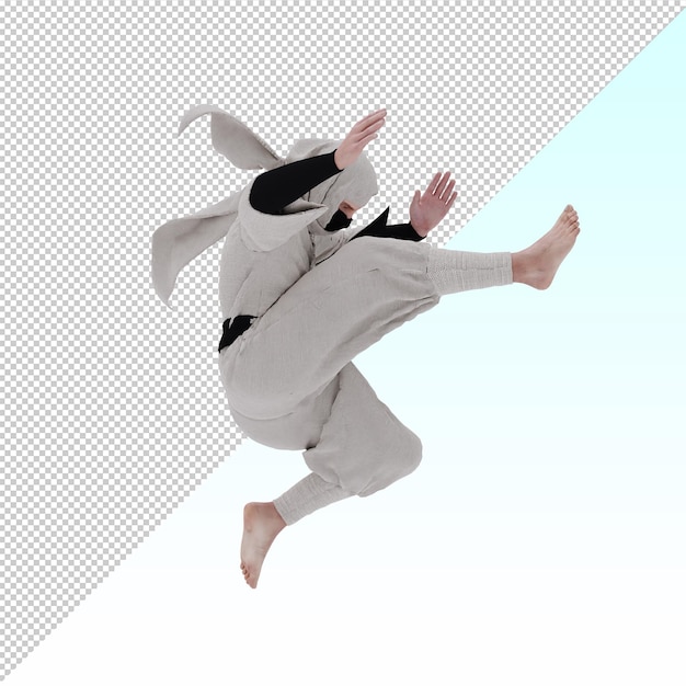 3d Ninja-krijger geïsoleerd