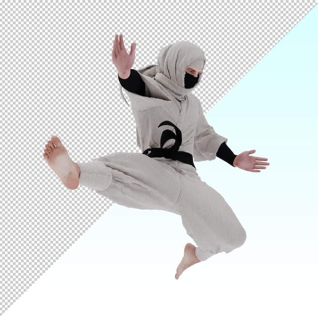 3d Ninja-krijger geïsoleerd