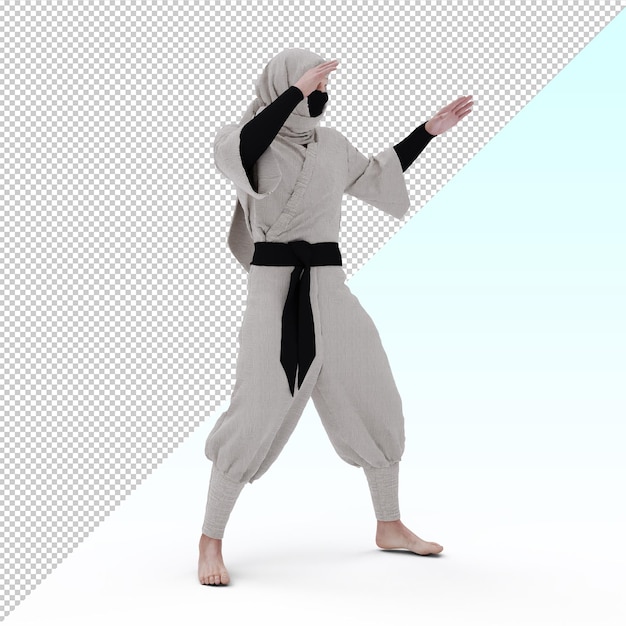 PSD 3d ninja-krijger geïsoleerd