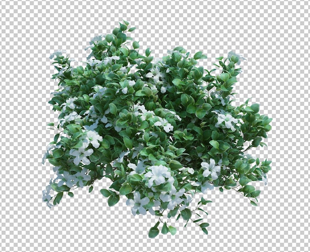 3d Odpłacają się Szczotkarskiego drzewa Odizolowywającego na bielu