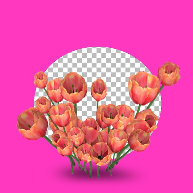 3d orange tulip flower isolated on transparency