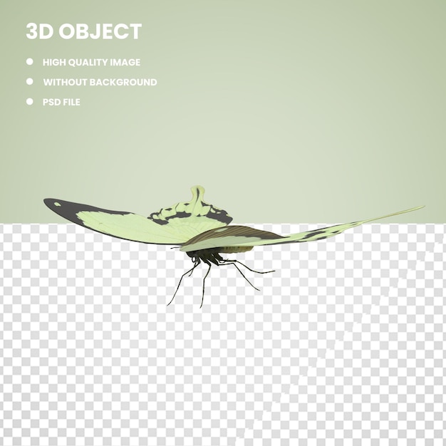 PSD 3d 종이 손수건 나비