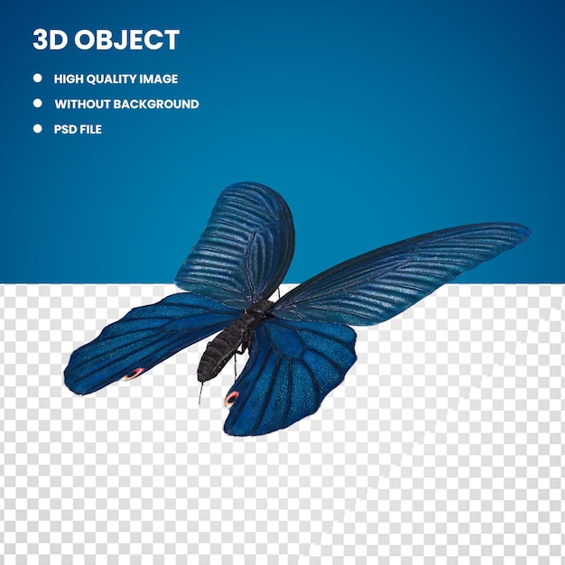 Бабочка папилио протенор 3d модель