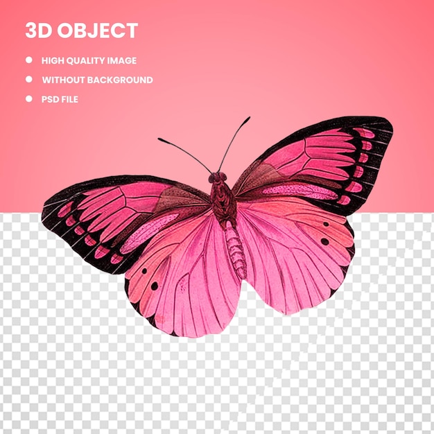3D розовая и черная бабочка