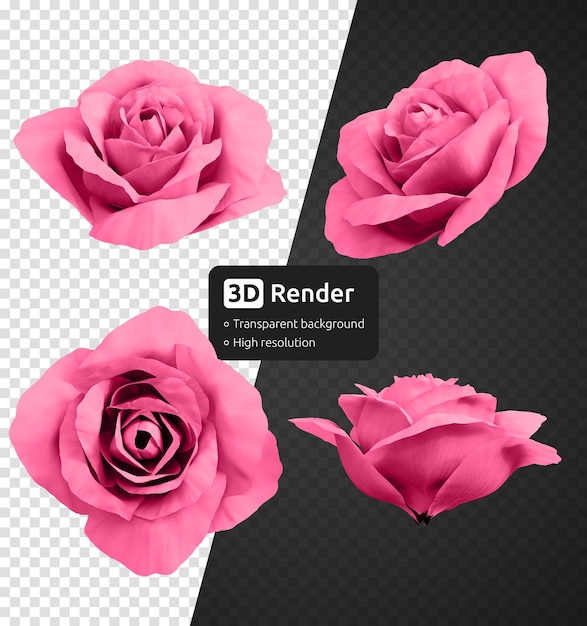 PSD 3d pink rose flower buds