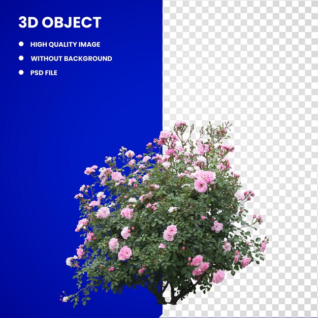 PSD 3d pink roses illustration