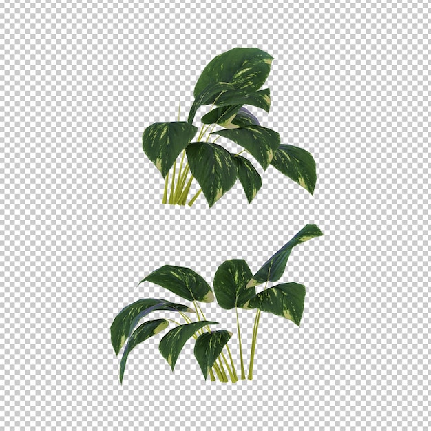 3D-plant geïsoleerde elementen