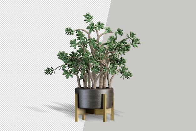 3d plant isometric view