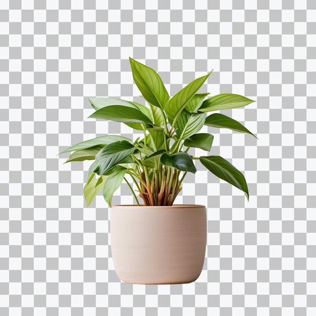 3d plant in pot realistic leaves