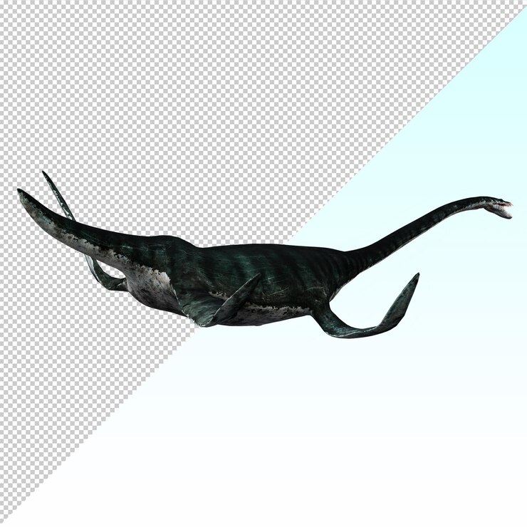 PSD 3d plesiosaurus 海上爬行類恐龍