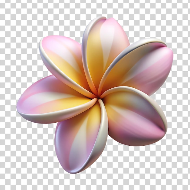 3d plumeria flower isolated on transparent background