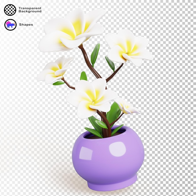 3d plumeria flower in pot render tropical frangipani tree with white yellow flowers branches and green leaves cartoon exotic plant for summer garden home interior decor or spa