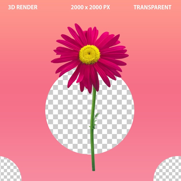 3d prezent Kwiat izolowany na przezroczystym tle
